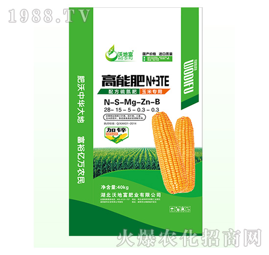 ���׌��ø��ܷ�N+3TE-�ֵظ�