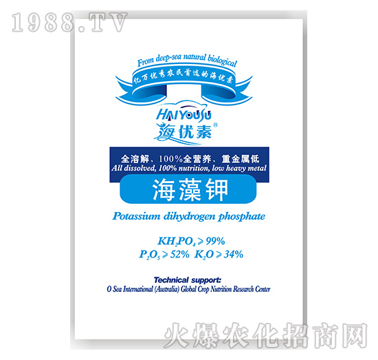 �����-�S������