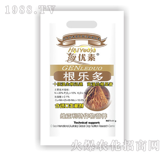 ������-�S������