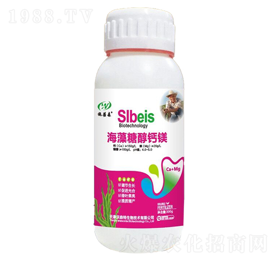 �����Ǵ��}�V-ʩ��ɭ-��ɭ��