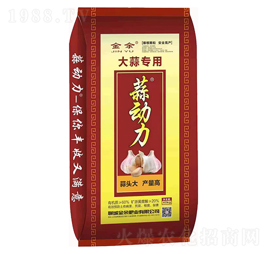 ���⌣��-�����-����