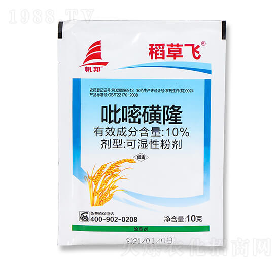 10%���׻�¡-�����w-ϲ�S��