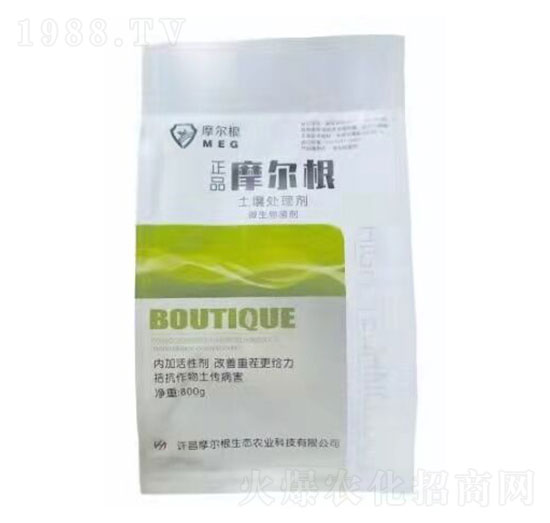 ����̎�턩-Ħ����