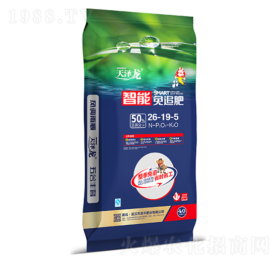 ������׷��26-19-5-�����