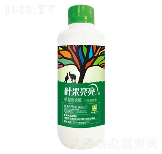 �����ۺ�ø-�~������-����(l��)��