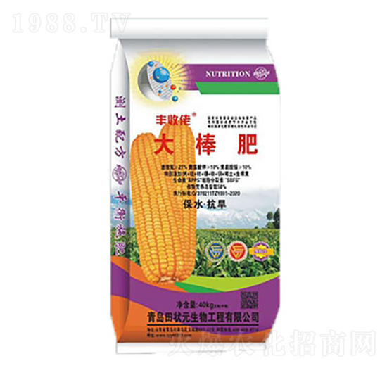 �����-�S����-���Ԫ����