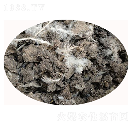 ʯ���f�u�S�ЙC(j��)��-���S����