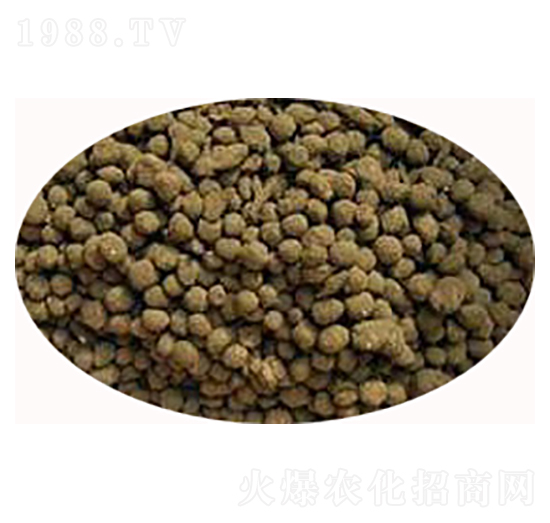 �u�S�w��-���S����