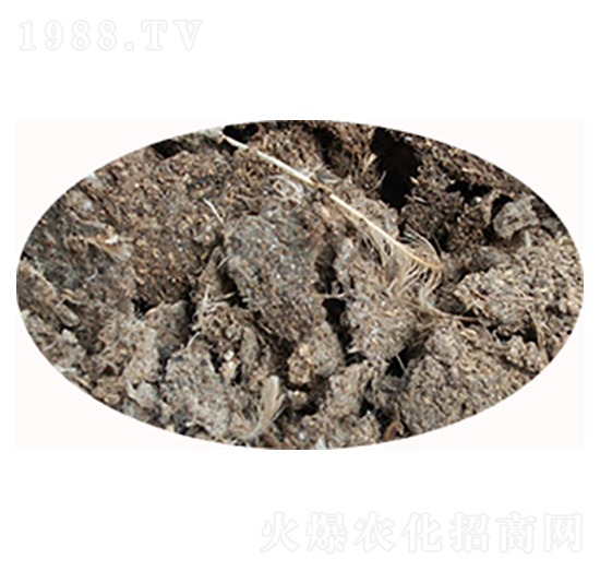 �u�S�ЙC(j��)�ʃr(ji��)��-���S����