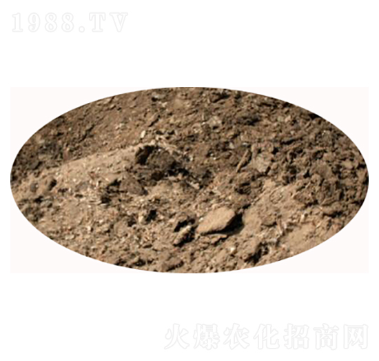 ���u�S�S��-���S����