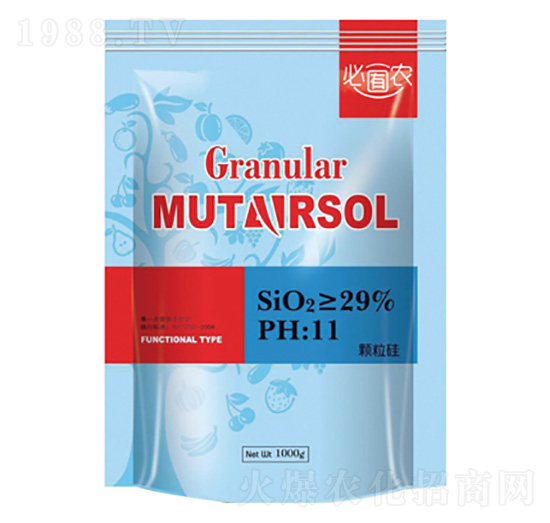 �w����-��֮���r(n��ng)�I(y��)