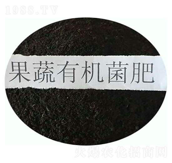 �����ЙC(j��)����-���|�ʘI(y��)