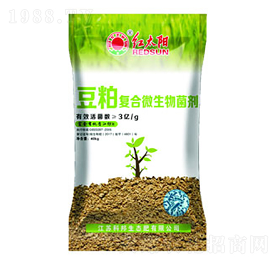 ���ɏͺ�΢�������-�t̫�-�ư�