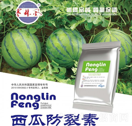 ���Ϸ�����-�r(n��ng)���L(f��ng)-��S��