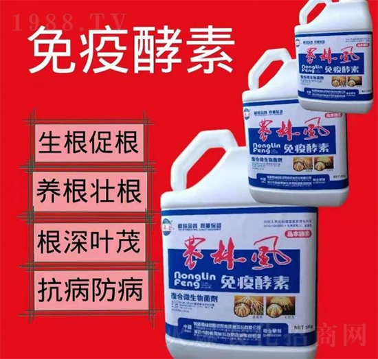 ���߽���-�r(n��ng)���L(f��ng)-��S��