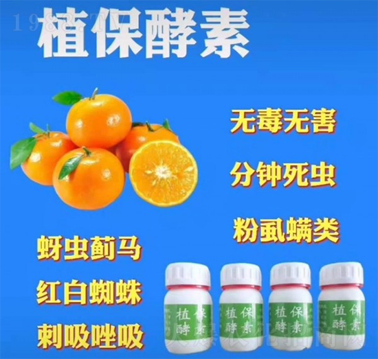 ֲ������-�r(n��ng)���L(f��ng)-��S��