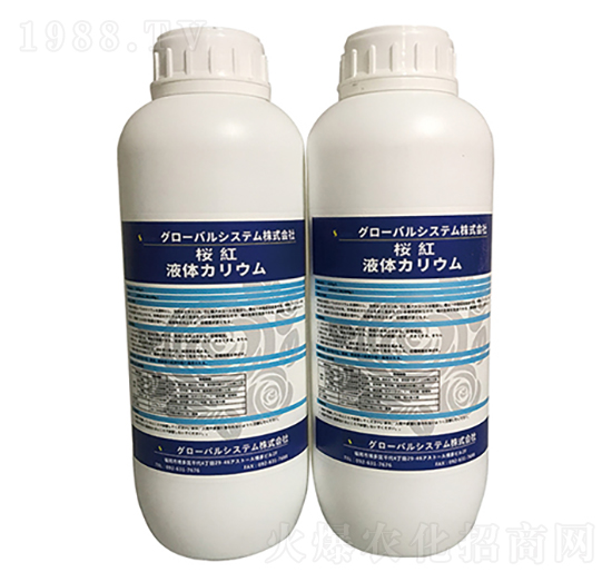 Һ�w�-�����A��