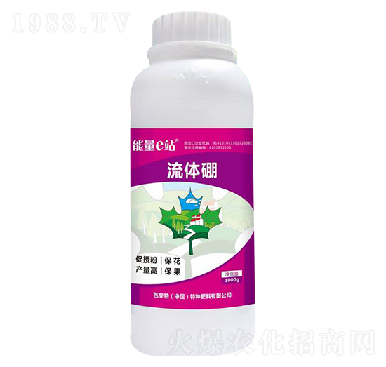 ���w��-�ŷ���