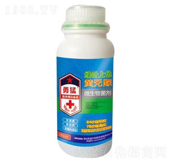 ����΢�������-�لP��