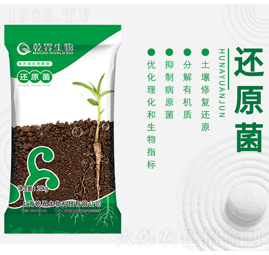 ߀ԭ��-Ǭ������