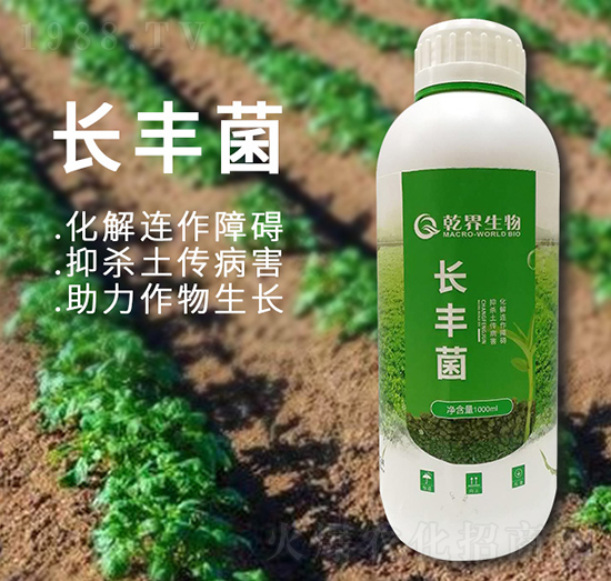 �L�S��-Ǭ������