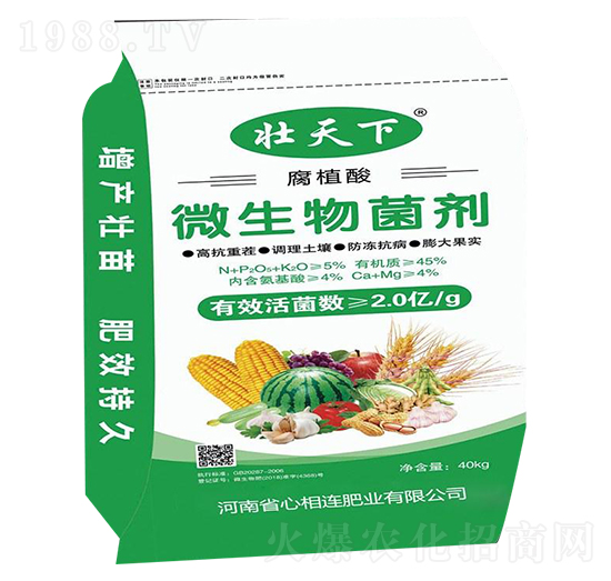 ��ֲ��΢�������-������-�����B�ʘI(y��)