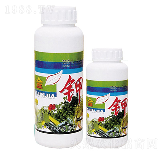 �S���-��ػ���