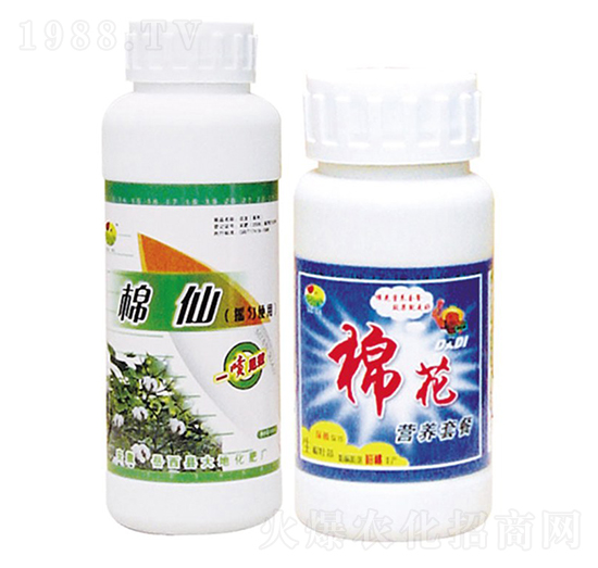 ���ɠI�B(y��ng)�ײ�-��ػ���