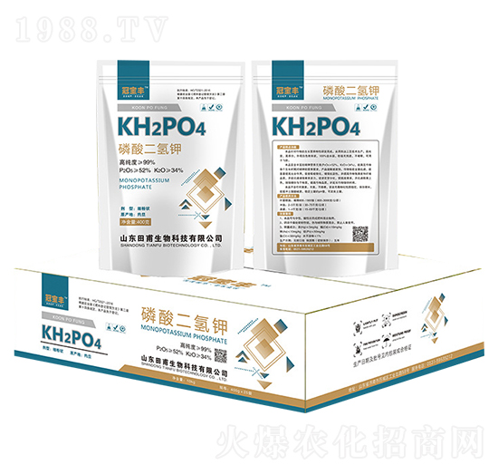 ��������-�ڌ��S-�︦����