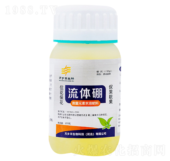 ���w��-�f(w��n)�l(xi��ng)�S����