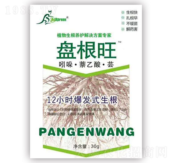 ���ᡤ�����ᡤ�|-�P����-���m�Z