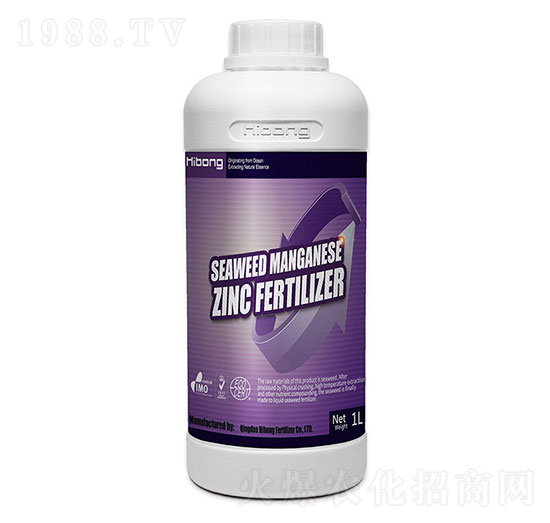 �Ѹ����纣�徫-�������