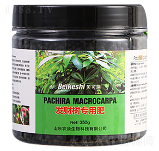 �l(f��)ؔ�䌣�÷���-ؐ��ʩ-�r������