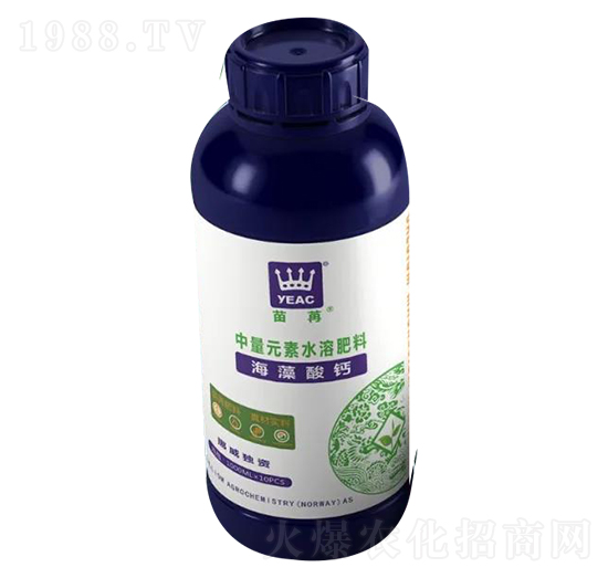 �������}-����