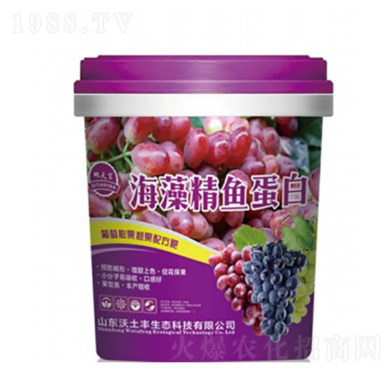 ���徫�~����-������-�����S