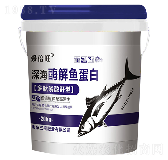 �ø���~����-�۱���-���ǷʘI(y��)