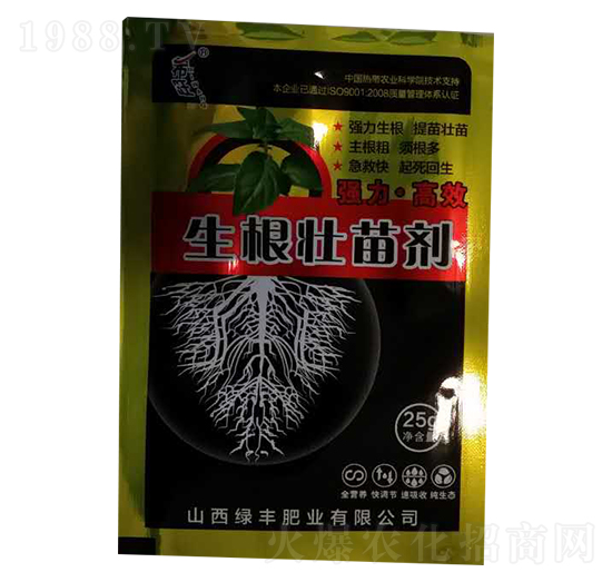 �������焩-�G�S�ʘI(y��)