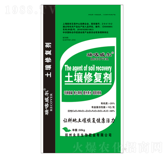 �����ޏ̈́�-���S����