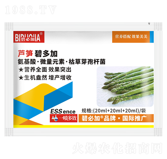 �J�S�̶��-�κ�����