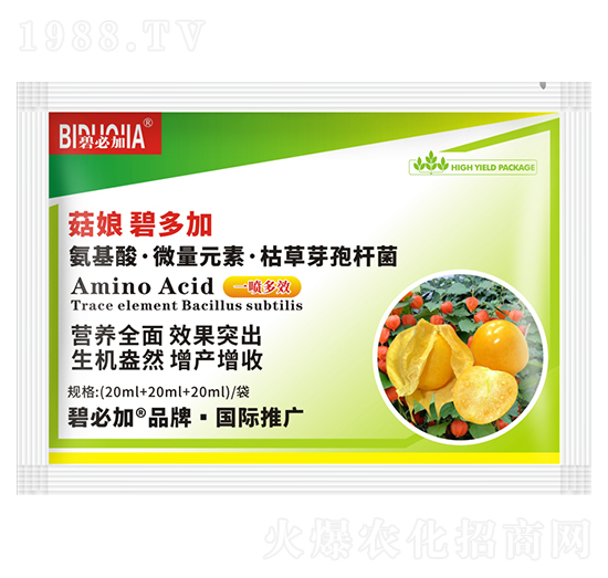 ����̶��-�κ�����