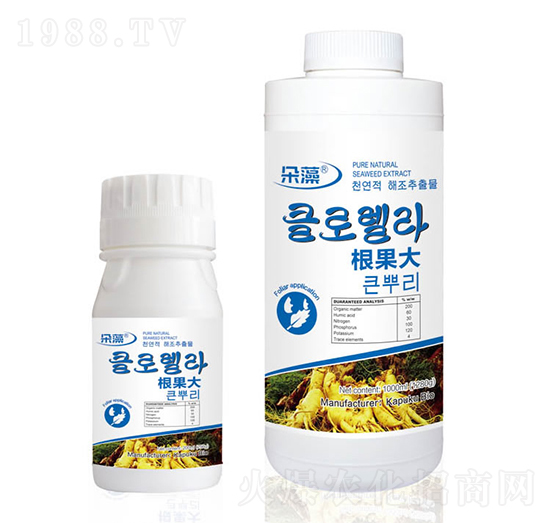 �������~���-����-���Վ�(k��)����