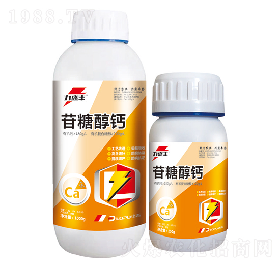 ���Ǵ��}-����