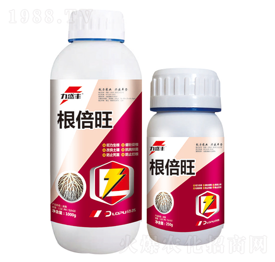 ������-����