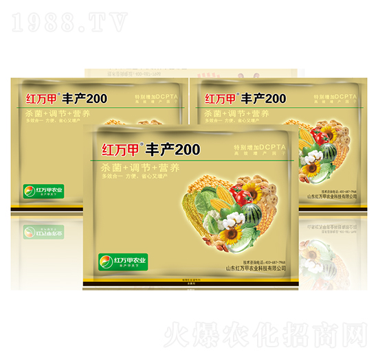 �S�a(ch��n)200-�t�f��