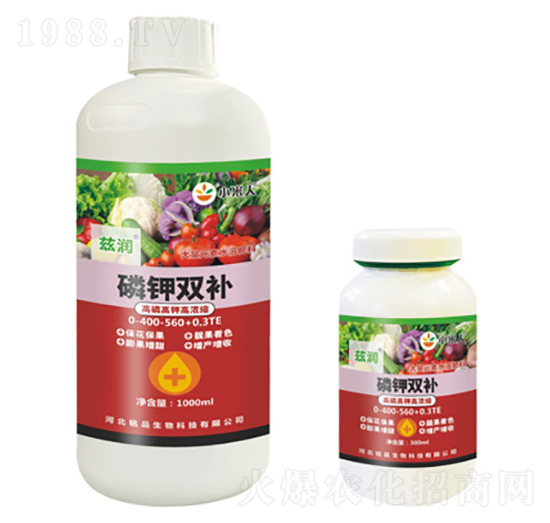 ����p�a-Ɲ��-�Ʒ����