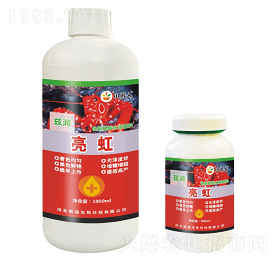 ����-Ɲ��(r��n)-�Ʒ����