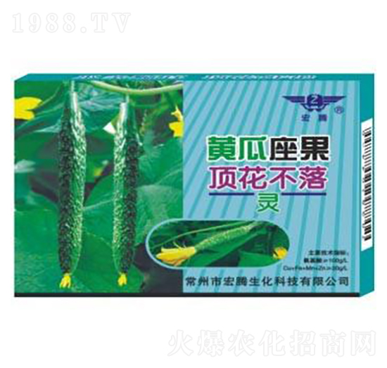 �S������픻�����-���v����