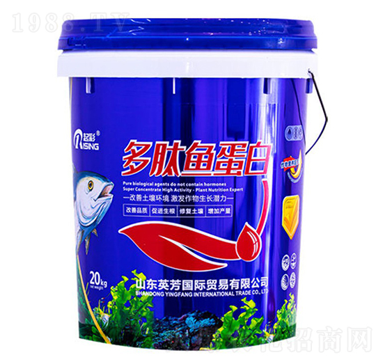 �����~����-���-Ӣ��