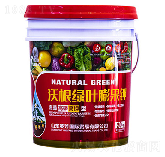 �ָ��G�~����-���-Ӣ��