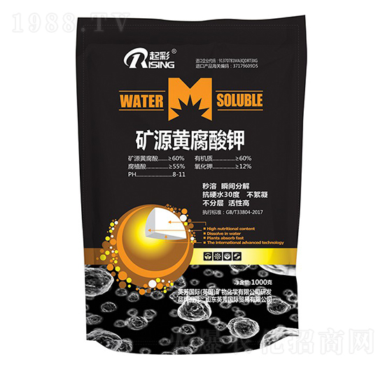 1000g�VԴ�S�����-���-Ӣ��